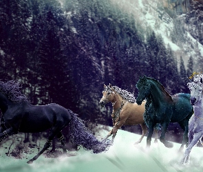 Konie, Drzewa, Góry, Śnieg