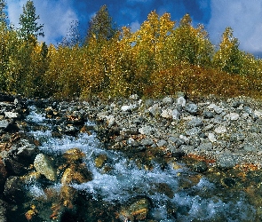 Jesień, Kamienie, Górski, Potok, Las