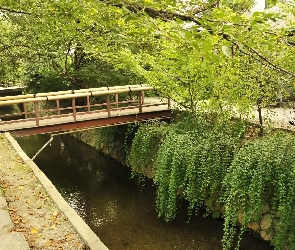 Park, Rzeka, Most