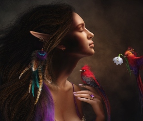 Elf, Ptaszek, Fantasy