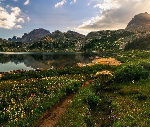 Jezioro, Góry, Roślinność