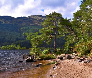 Lato, Lasy, Jezioro, Góry