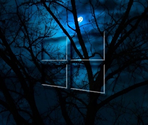 Windowsa, Logo, Księżyc, Noc, Pełnia, Drzewa