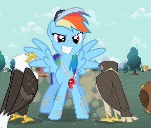 Orzeł, Sowa, Rainbow Dash, Trener