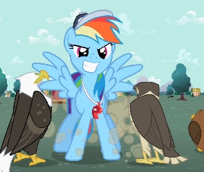 Rainbow Dash, Orzeł, Sowa, Trener