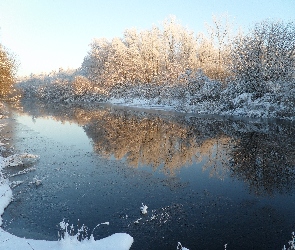 Drzewa, Rzeka, Zima