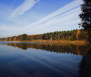 Jesień, Las, Odbicie, Jezioro