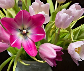 Różowe, Bukiet, Tulipany