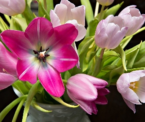 Tulipany, Bukiet, Różowe