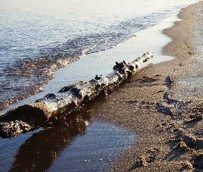 Kłoda, Drewniana, Morze, Plaża