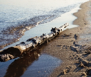 Morze, Kłoda, Drewniana, Plaża