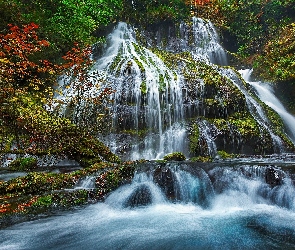 Las, Drzewa, Wodospad, Panther Creek Falls, Stany Zjednoczone, Gifford Pinchot National Forest, Miejsce chronione, Stan Waszyngton, Rzeka