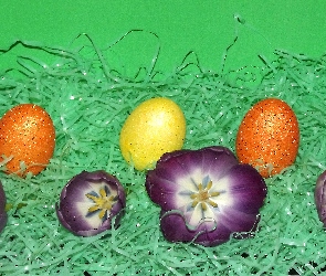 Jajka, Tulipany, Wielkanocne