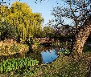 Londyn, Wielka Brytania, Park