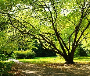 Wiosna, Park