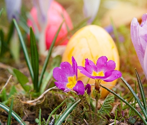 Wielkanoc, Wiosna, Pisanki, Kwiatki