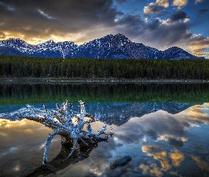 Chmury, Las, Prowincja Alberta, Jezioro Patricia Lake, Góry, Kanada, Park Narodowy Jasper
