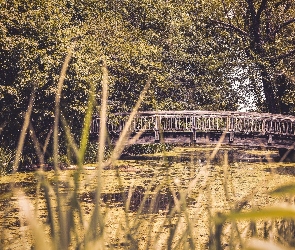 Most, Park, Rzeka
