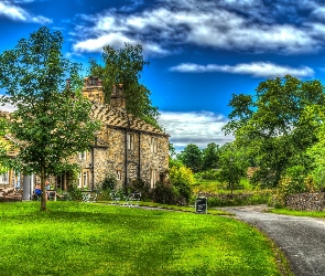Drzewa, HDR, Dróżka, Trawa, Dom