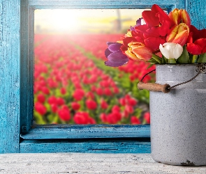 Kwiaty, Okno, Tulipany