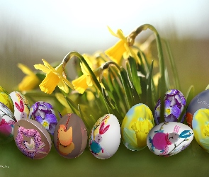 Wielkanoc, Święta, Jajeczka, Kolorowe, Żonkile, Kwiaty