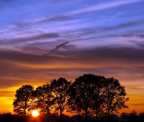 Zachód słońca, Drzewa, Chmury, Niebo
