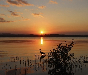 Jezioro, Zachód słońca