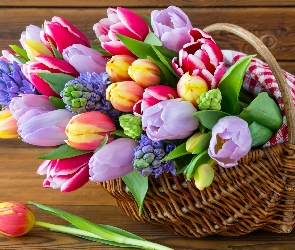 Ławka, Koszyk, Bukiet, Tulipanów