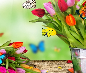 Motylki, Wiadro, Kolorowe, Tulipany