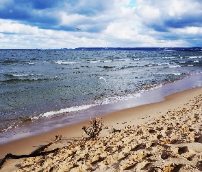 Bałtyk, Piasek, Fale, Plaża, Morze