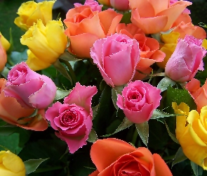Różowych, Róż, Żółtych, Pomarańczowych, Bukiet