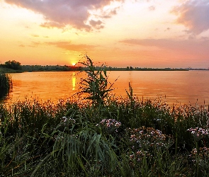 Jezioro, Zachód słońca, Łąka