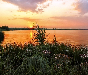 Łąka, Zachód słońca, Jezioro
