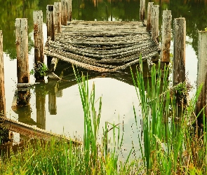 Mola, Jezioro, Resztki