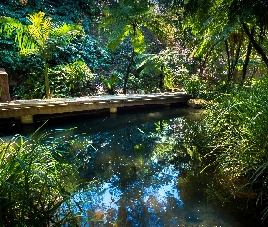 Park