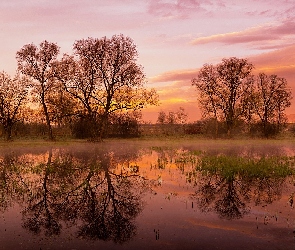 Drzewa, Odbicie, Wschód, Słońca, Jezioro