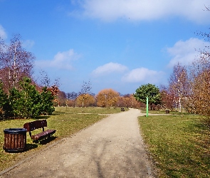 Drzewa, Ławka, Park, Ścieżka