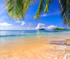 Morze, Tropiki, Wyspy, Palmy, Plaża