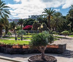 Hiszpania, Las Palmas, Park