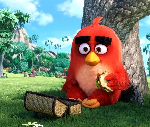 Film, Angry Birds, Komputerowe