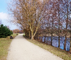 Jeziorko, Drzewa, Gdańsk, Polska, Park im. Ronalda Reagana, Droga