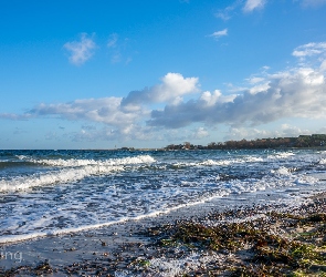 Strand, Morze, Timmendorfer, Uzdrowisko, Viering, Autor, Plaża, Jorg, Niemcy