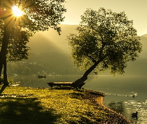 Mgła, Wschód Słońca, Jezioro, Góry