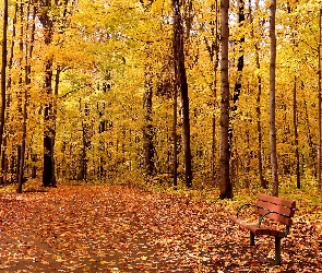 Ławka, Park, Jesień