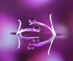 Krople, Makro