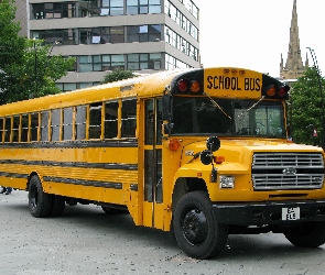 Autobus, Ford, Szkolny