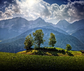 Las, Przebijające, Góry, Łąka, Austria, Chmury, HDR, Światło