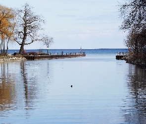 Ontario, Drzewa, Kanada