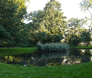 Park, Staw