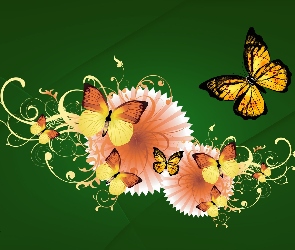 Motyle, Grafika
